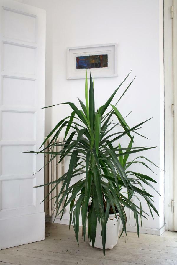 Porta Al Serraglio Apartment ปาล์มเดดเซิร์ท ภายนอก รูปภาพ